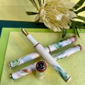 One uncapped fountain pen lying across two capped pens with a sugarbush protea flower in the background